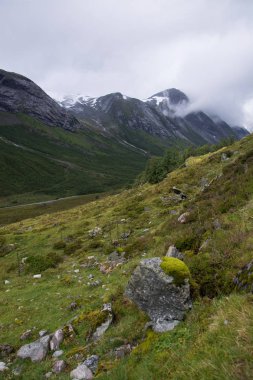 Landscape in Sogn og Fjordane, Norway
