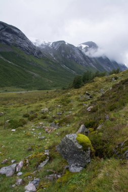 Landscape in Sogn og Fjordane, Norway