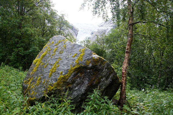Briksdalsbreen, Sogn og Fjordane, Norveç — Stok fotoğraf