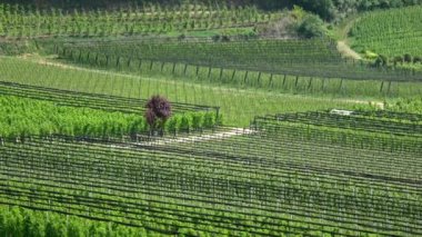 Lake Kaltern, İtalyan Lago di Caldaro, South Tyrol, İtalya için Kaltern belediyesinde bir göldür.