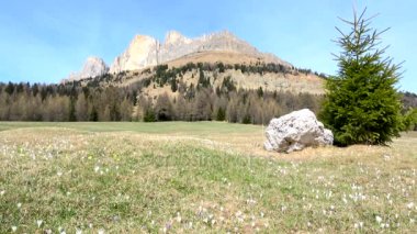 Rosengarten İtalyan Catinaccio, Kuzey İtalya'nın Dolomites bir massif grubudur.