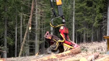 Bir hasat felling, delimbing ve ağaçlar karşı çıkmak için kesim uzunluğu günlük operasyonlarında istihdam ağır Ormancılık araç türüdür.