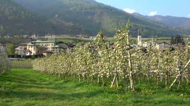 Caldes Ist Eine Gemeinde Trentino Norditalien — Stockvideo