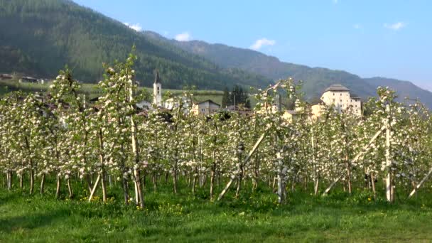 Caldes Een Gemeente Trentino Noord Italië — Stockvideo