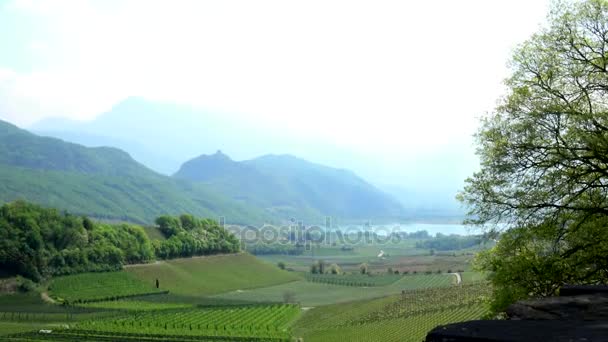 Lac Kaltern Est Lac Tyrol Sud Situé Dans Commune Italienne — Video