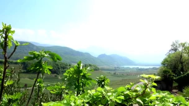 Panoramatické Jezero Italsky Lago Caldaro Jezero Obci Panoramatické Regionu Jižní — Stock video