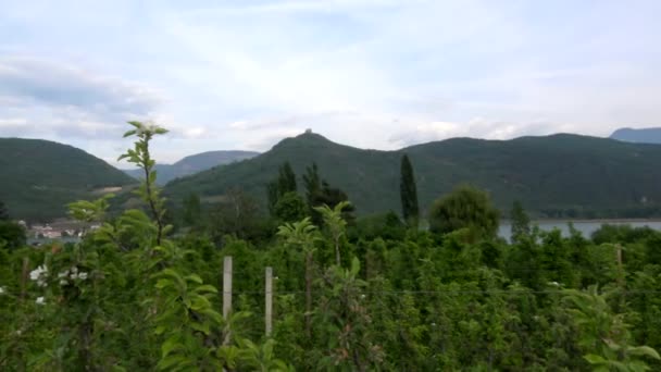 Uva Vino Lago Kaltern Lago Caldaro Italiano Lago Municipio Kaltern — Vídeos de Stock