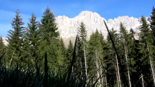 Die Rosengartengruppe Italienischer Catinaccio Ist Ein Massiv Den Dolomiten Norditaliens — Stockvideo