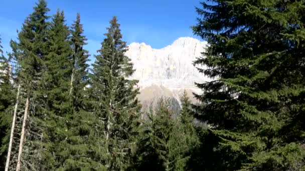 Rosengarten Csoport Olasz Catinaccio Egy Fekszik Dolomitok Észak Olaszország — Stock videók