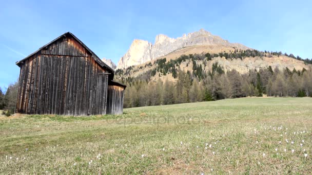 Группа Розенгартен Итальянское Катиначчо Представляет Собой Массив Доломитовых Альпах Северной — стоковое видео