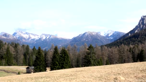 Passo Costalunga Passo Dell Alto Adige Provincia Bolzano — Video Stock