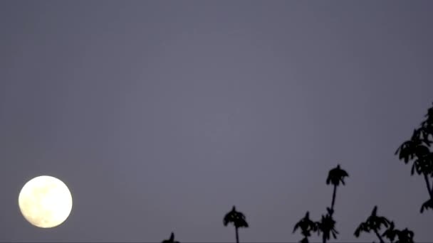 Шлях Місяця Вечірньому Небі — стокове відео