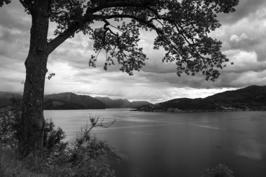 Hardangerfjord, Hordaland, Norway