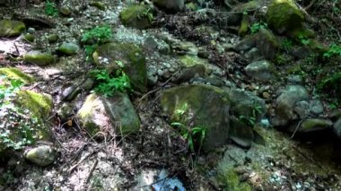 Harika bir doğal gözlük Rastenbach muhteşemdir, göl Kalterer, South Tyrol, İtalya,.