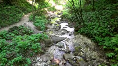 Harika bir doğal gözlük Rastenbach muhteşemdir, göl Kalterer, South Tyrol, İtalya,.