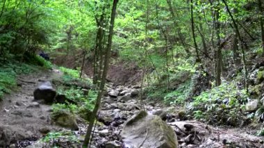 Harika bir doğal gözlük Rastenbach muhteşemdir, göl Kalterer, South Tyrol, İtalya,.