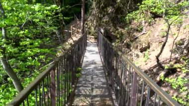 Harika bir doğal gözlük Rastenbach muhteşemdir, göl Kalterer, South Tyrol, İtalya,.