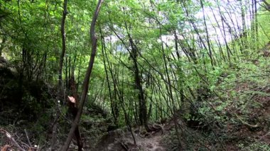Harika bir doğal gözlük Rastenbach muhteşemdir, göl Kalterer, South Tyrol, İtalya,.