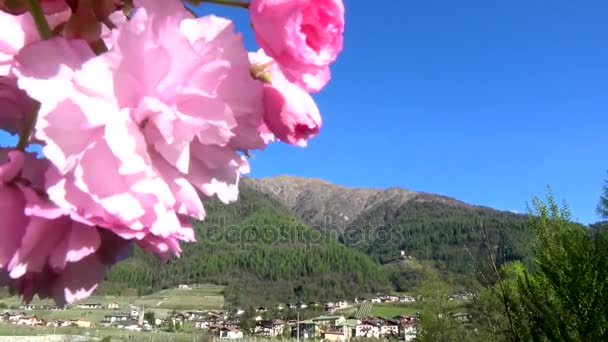 Caldes Una Comuna Italiana Del Norte Trentino — Vídeo de stock