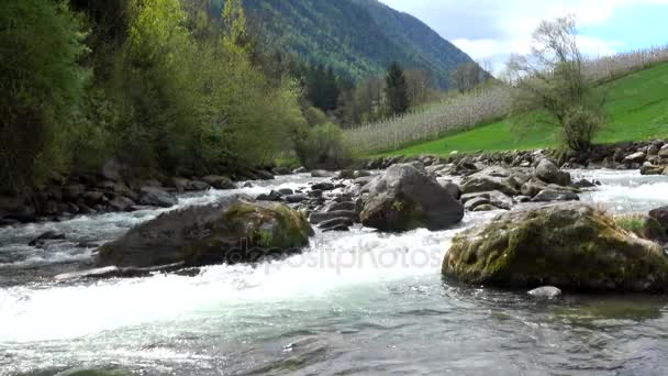 Video Fiume Caldes Alto Adige Italia — Video Stock