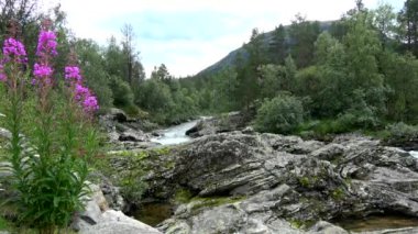 Nehir Rauma şehrin Bjorli Oppland, Norveç.