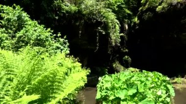 Lichtenhain şelale Lichtenhainer Köyü brook tarafından kurulan bir şelale ve Almanya'da Sakson İsviçre Kirnitzsch Vadisi'nde yer almaktadır.