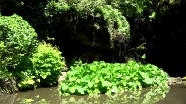 Lichtenhain şelale Lichtenhainer Köyü brook tarafından kurulan bir şelale ve Almanya'da Sakson İsviçre Kirnitzsch Vadisi'nde yer almaktadır.