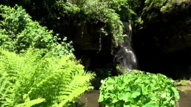 Lichtenhain şelale Lichtenhainer Köyü brook tarafından kurulan bir şelale ve Almanya'da Sakson İsviçre Kirnitzsch Vadisi'nde yer almaktadır.