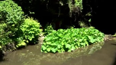 Lichtenhain şelale Lichtenhainer Köyü brook tarafından kurulan bir şelale ve Almanya'da Sakson İsviçre Kirnitzsch Vadisi'nde yer almaktadır.