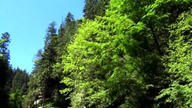 Kamnitz Gorge, Çek: Soutesky Kamenice, Almanca: Kamnitzklamm veya Edmundsklamm, bu kayalık vadide bohem İsviçre Çek Cumhuriyeti.