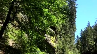 Kamnitz Gorge, Çek: Soutesky Kamenice, Almanca: Kamnitzklamm veya Edmundsklamm, bu kayalık vadide bohem İsviçre Çek Cumhuriyeti.