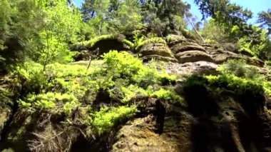 Kamnitz Gorge, Çek: Soutesky Kamenice, Almanca: Kamnitzklamm veya Edmundsklamm, bu kayalık vadide bohem İsviçre Çek Cumhuriyeti.