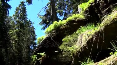 Kamnitz Gorge, Çek: Soutesky Kamenice, Almanca: Kamnitzklamm veya Edmundsklamm, bu kayalık vadide bohem İsviçre Çek Cumhuriyeti.