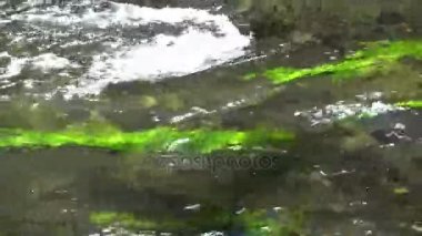 Kamnitz Gorge, Çek: Soutesky Kamenice, Almanca: Kamnitzklamm veya Edmundsklamm, bu kayalık vadide bohem İsviçre Çek Cumhuriyeti.