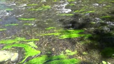 Kamnitz Gorge, Çek: Soutesky Kamenice, Almanca: Kamnitzklamm veya Edmundsklamm, bu kayalık vadide bohem İsviçre Çek Cumhuriyeti.