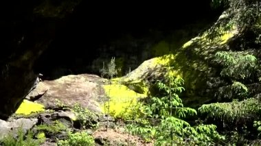 Kamnitz Gorge, Çek: Soutesky Kamenice, Almanca: Kamnitzklamm veya Edmundsklamm, bu kayalık vadide bohem İsviçre Çek Cumhuriyeti.