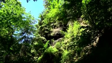 Kamnitz Gorge, Çek: Soutesky Kamenice, Almanca: Kamnitzklamm veya Edmundsklamm, bu kayalık vadide bohem İsviçre Çek Cumhuriyeti.