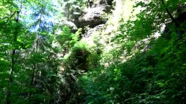 Kamnitz Gorge, Çek: Soutesky Kamenice, Almanca: Kamnitzklamm veya Edmundsklamm, bu kayalık vadide bohem İsviçre Çek Cumhuriyeti.