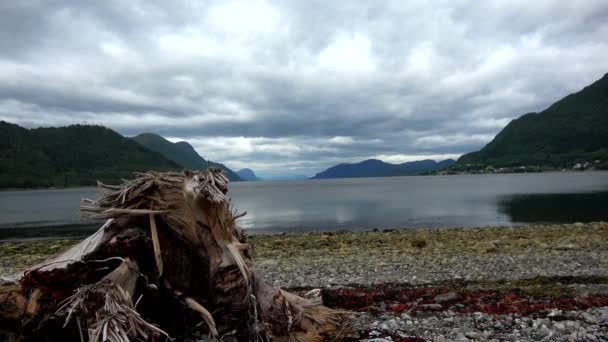 Fjord Noorwegen Storfjord Een Lange Fjord Sunnmore Regio Van Meer — Stockvideo