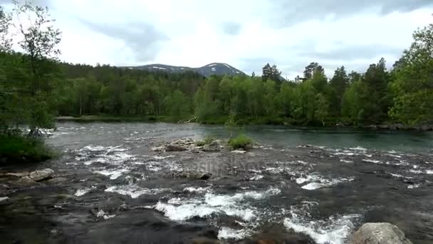 Rio Rauma Perto Cidade Bjorli Oppland Noruega — Vídeo de Stock