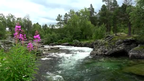 Rio Rauma Perto Cidade Bjorli Oppland Noruega — Vídeo de Stock