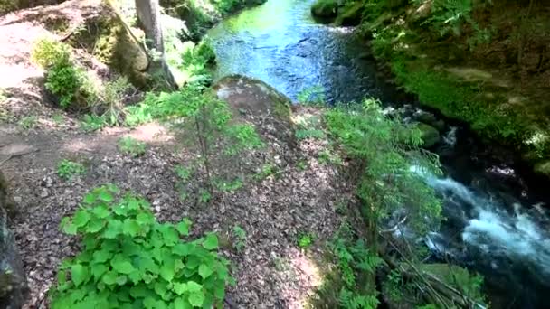 Kamnitz Gorge Czeska Kunratice Kamenice Niemiecki Kamnitzklamm Lub Edmundsklamm Jest — Wideo stockowe