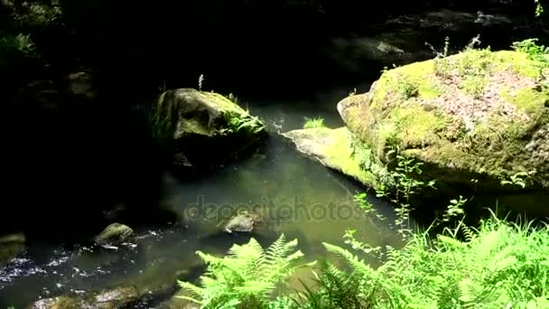 Kamnitz Gorge Çek Soutesky Kamenice Almanca Kamnitzklamm Veya Edmundsklamm Kayalık — Stok video