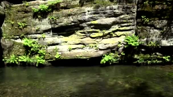 Den Kamnitz Gorge Tjeckiska Soutesky Kamenice Tyska Kamnitzklamm Eller Edmundsklamm — Stockvideo