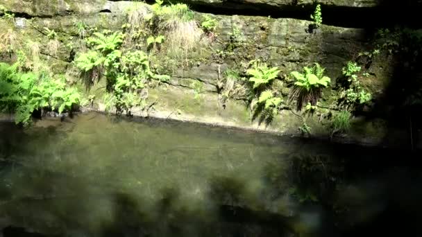 Kamnitz Gorge Czeska Kunratice Kamenice Niemiecki Kamnitzklamm Lub Edmundsklamm Jest — Wideo stockowe