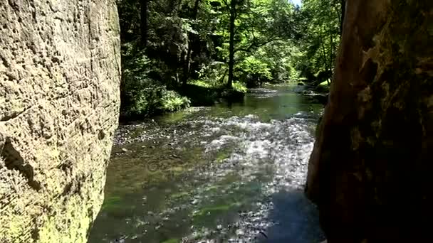 Den Kamnitz Gorge Tjeckiska Soutesky Kamenice Tyska Kamnitzklamm Eller Edmundsklamm — Stockvideo