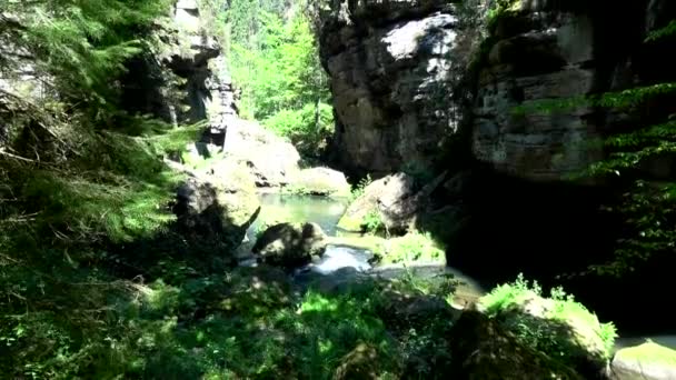 Kamnitz Gorge Tsjechisch Soutesky Kamenice Duits Kamnitzklamm Edmundsklamm Een Rotsachtige — Stockvideo