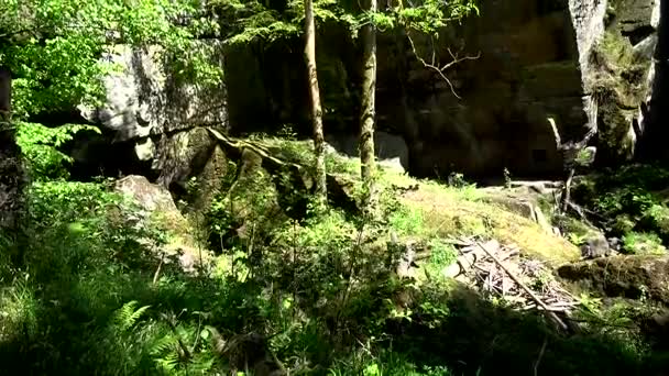 Kamnitz 捷克语 Soutesky Kamenice Kamnitzklamm Edmundsklamm 是一个岩石山沟在波希米亚瑞士在捷克共和国 — 图库视频影像