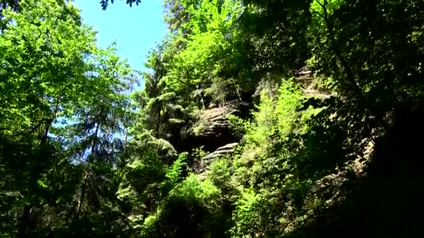 Kamnitz Gorge Czech Soutesky Kamenice German Kamnitzklamm Edmundsklamm Barranco Rocoso — Vídeos de Stock