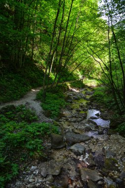 Harika bir doğal gözlük Rastenbach muhteşemdir, göl Kalterer, South Tyrol, İtalya,